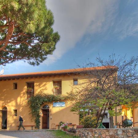 Agriturismo Ca' Di Trincia Pietra Ligure Ngoại thất bức ảnh